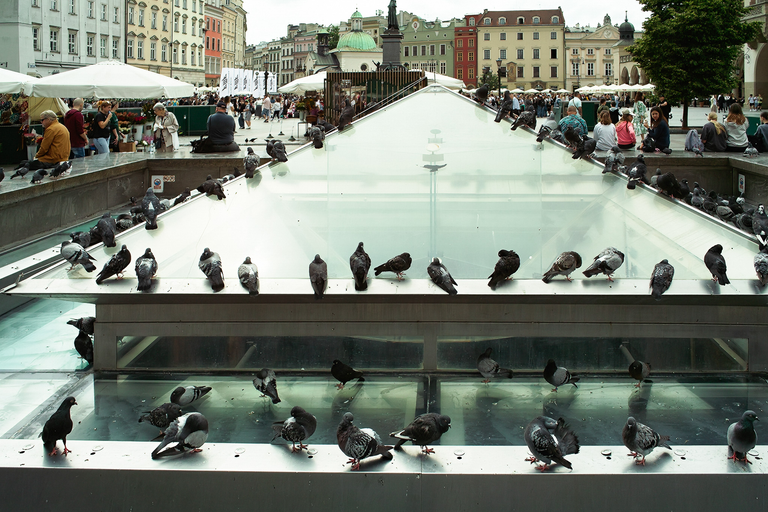 Kraków