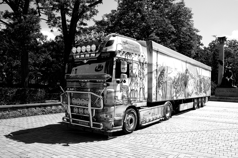 Plener fotograficzny w Kielcach. Sigma DP1 monochrom. FOVEON X3 tworzy piękne, klimatyczne zdjęcia czarno-białe.