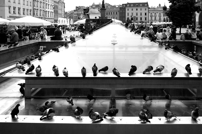 Plener fotograficzny w Krakowie. Sigma DP1 monochrom. FOVEON X3 tworzy piękne, klimatyczne zdjęcia czarno-białe.