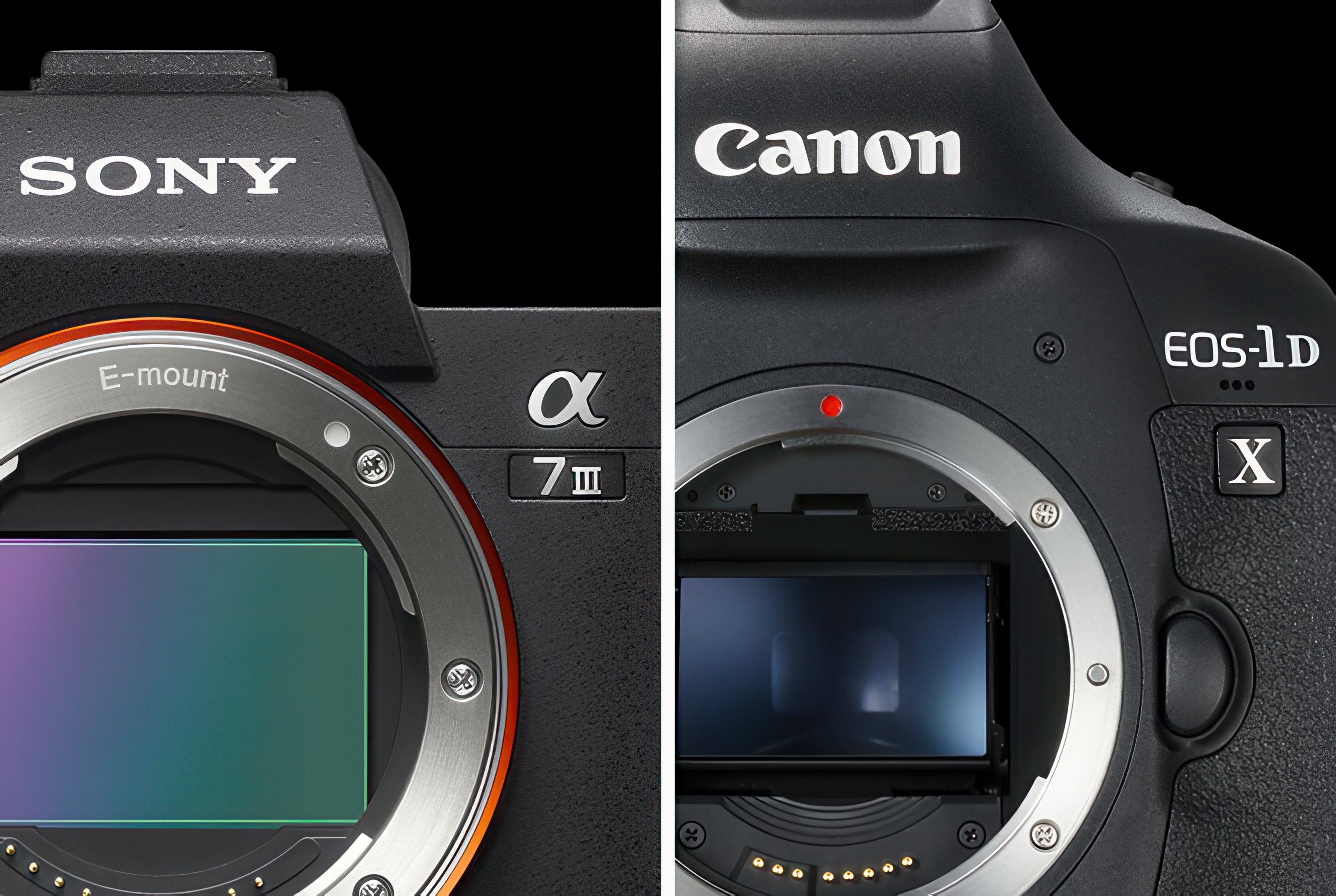 Aparaty fotograficzne - Sony A7 III i Canon EOS-1D X