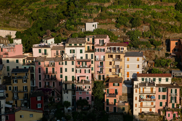 Włoska Toskania i Liguria w obiektywie – Florencja, Siena, Cinque Terre i malownicze wybrzeża Morza Liguryjskiego.
