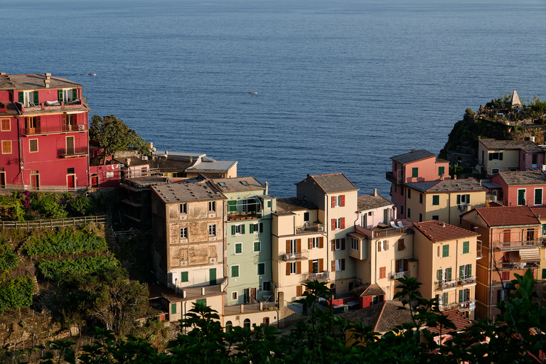 Włoska Toskania i Liguria w obiektywie – Florencja, Siena, Cinque Terre i malownicze wybrzeża Morza Liguryjskiego.