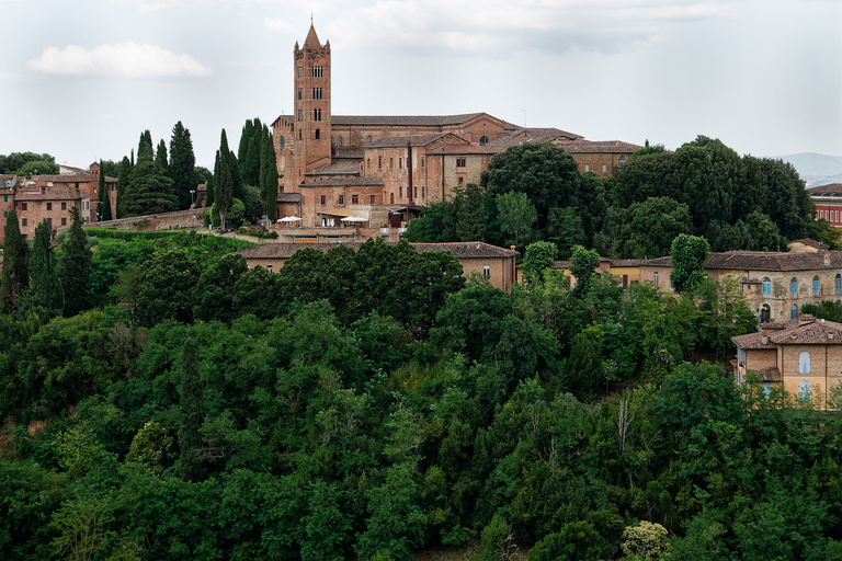Włoska Toskania i Liguria w obiektywie – Florencja, Siena, Cinque Terre i malownicze wybrzeża Morza Liguryjskiego.