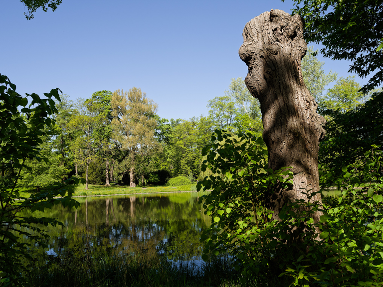 Wilanów – pałac i ogrody Jana III Sobieskiego, barokowe wnętrza, rzeźby, alejki i architektura pełna historii i elegancji.