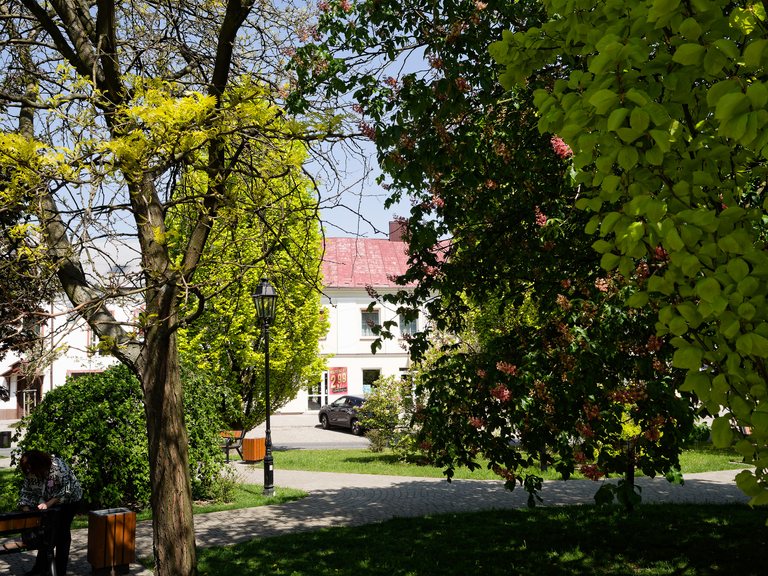 Zabytkowy Opatów – romańska kolegiata, urokliwe uliczki i historyczny klimat małego świętokrzyskiego miasteczka.