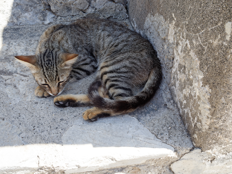 Malownicze widoki włoskiego wybrzeża Tyrreńskiego – miasteczka, plaże, klify i architektura Kalabrii oraz wybrzeża Amalfi
