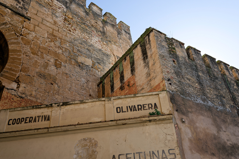 Carmona - Andaluzja - Hiszpania