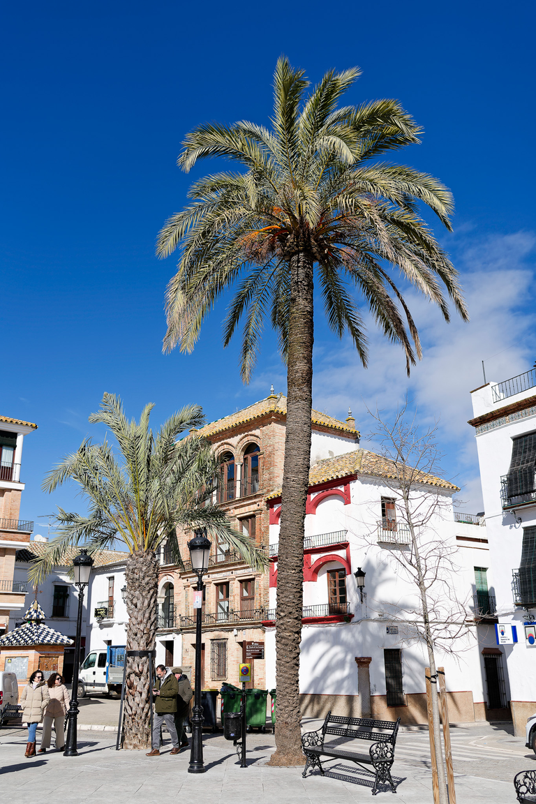 Carmona - Andaluzja - Hiszpania