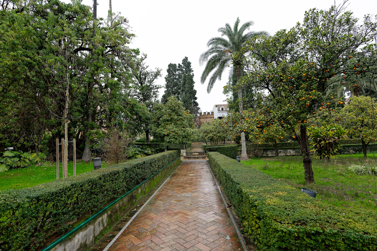 Sewilla - Andaluzja - Hiszpania - Real Alcazar
