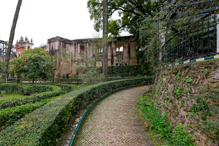 Sewilla - Andaluzja - Hiszpania - Real Alcazar