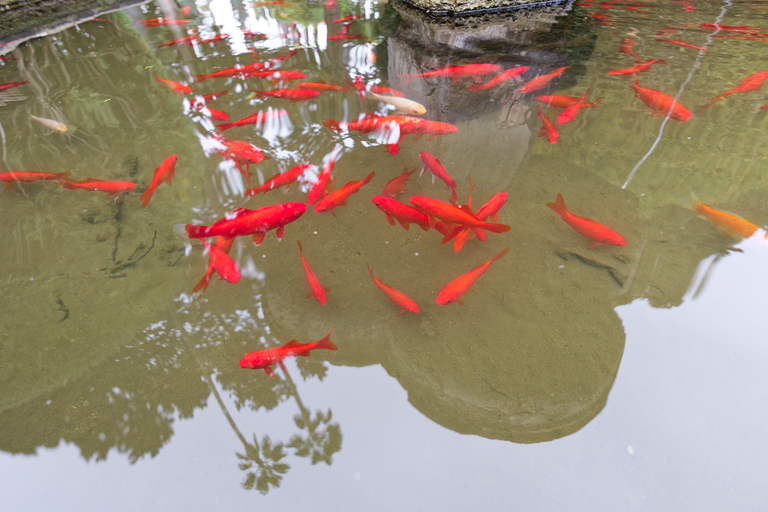 Sewilla - Andaluzja - Hiszpania - Real Alcazar